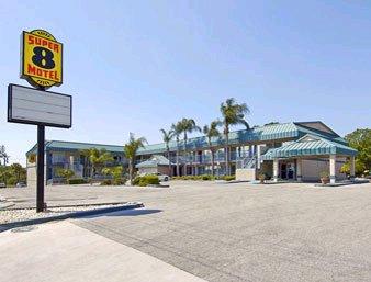 Super 8 Motel - Highway 19 - Clearwater